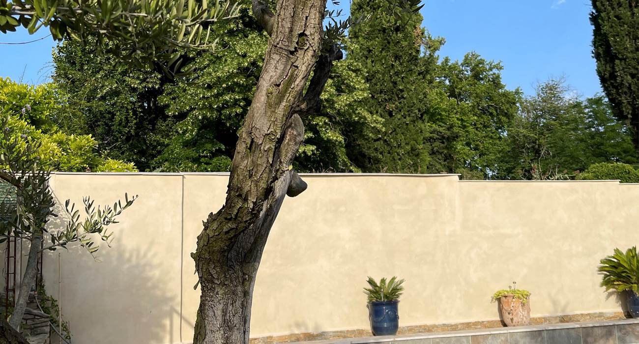 Sans titre