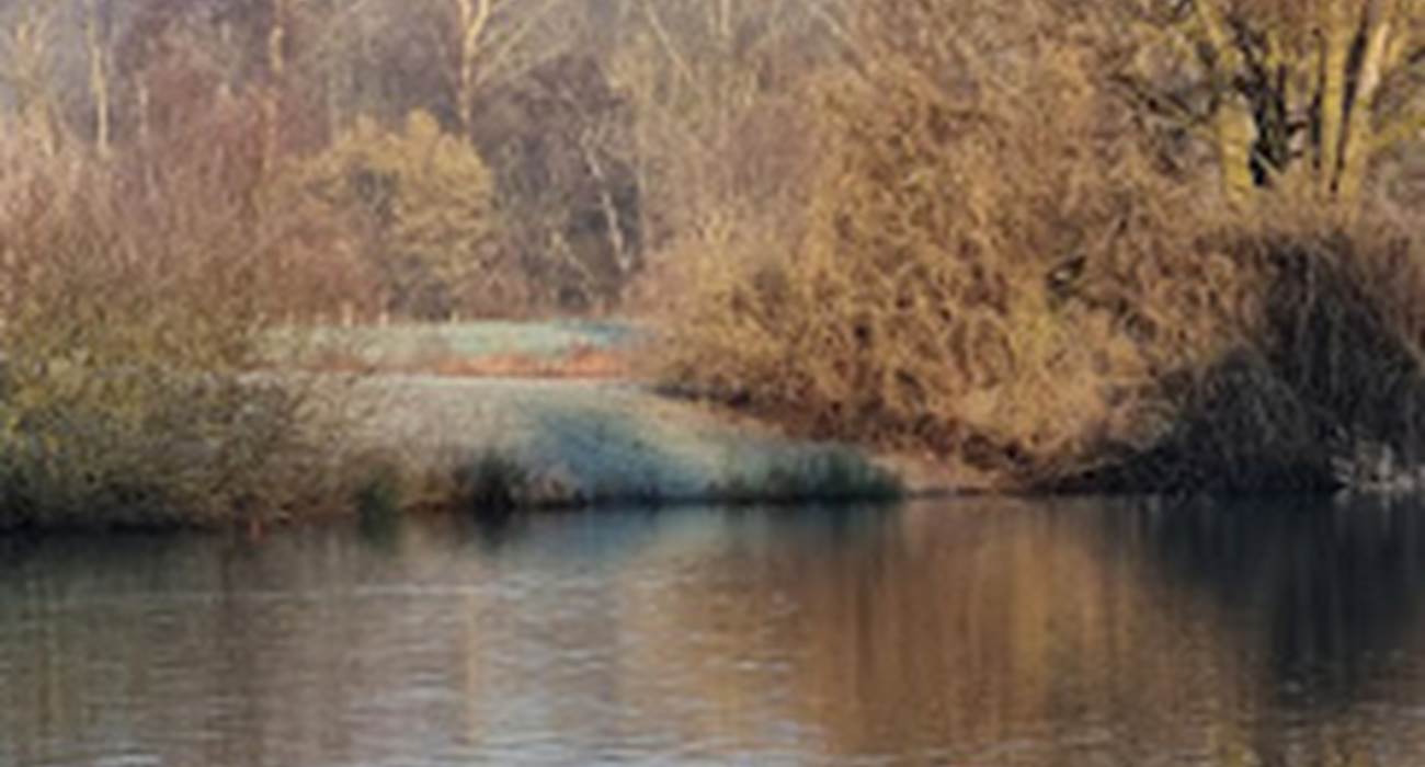 Etang des Vingtaines - Anet