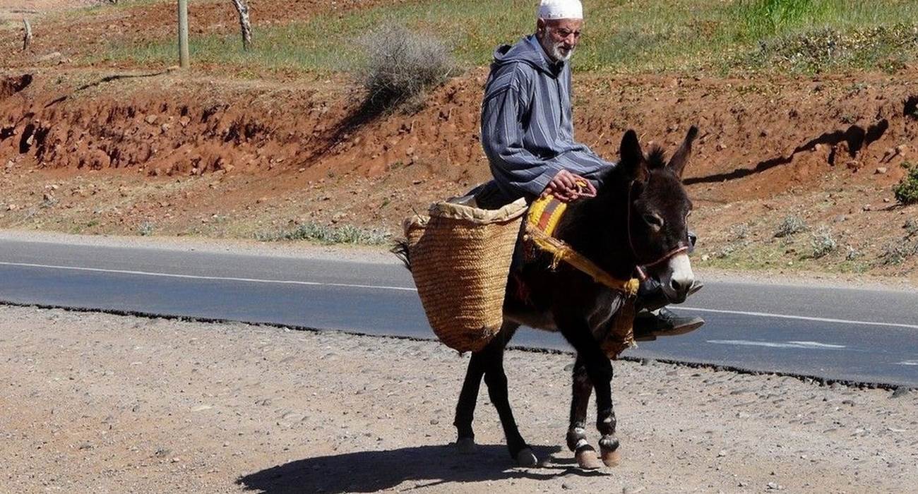 Transport traditionnel dans le sud marocain