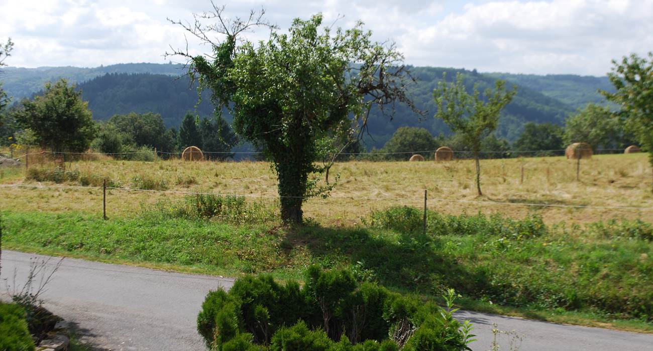 saison des foins, paysage campagnard, vue devant Le Ranch des Lacs-page