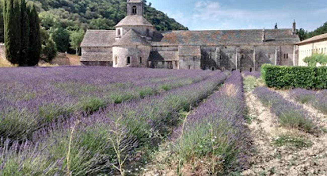 Abbaye de sénanque