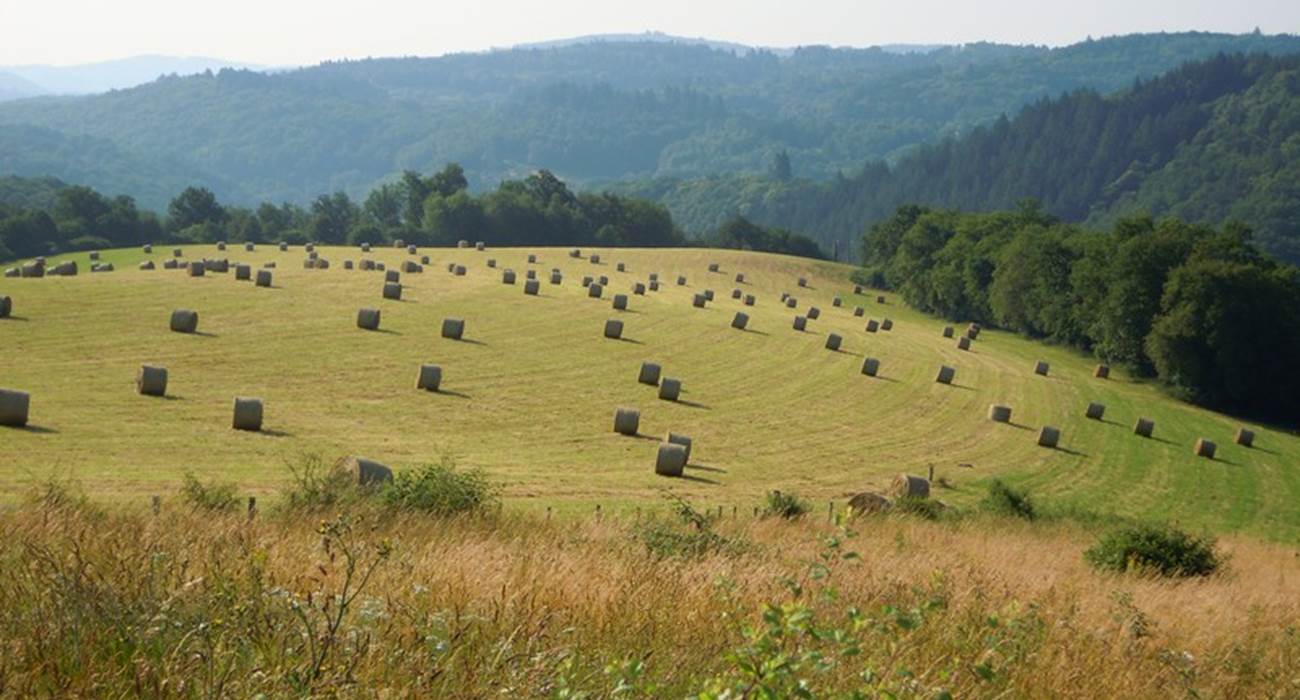 notre belle campagne, vue devant le Ranch des Lacs en été-page