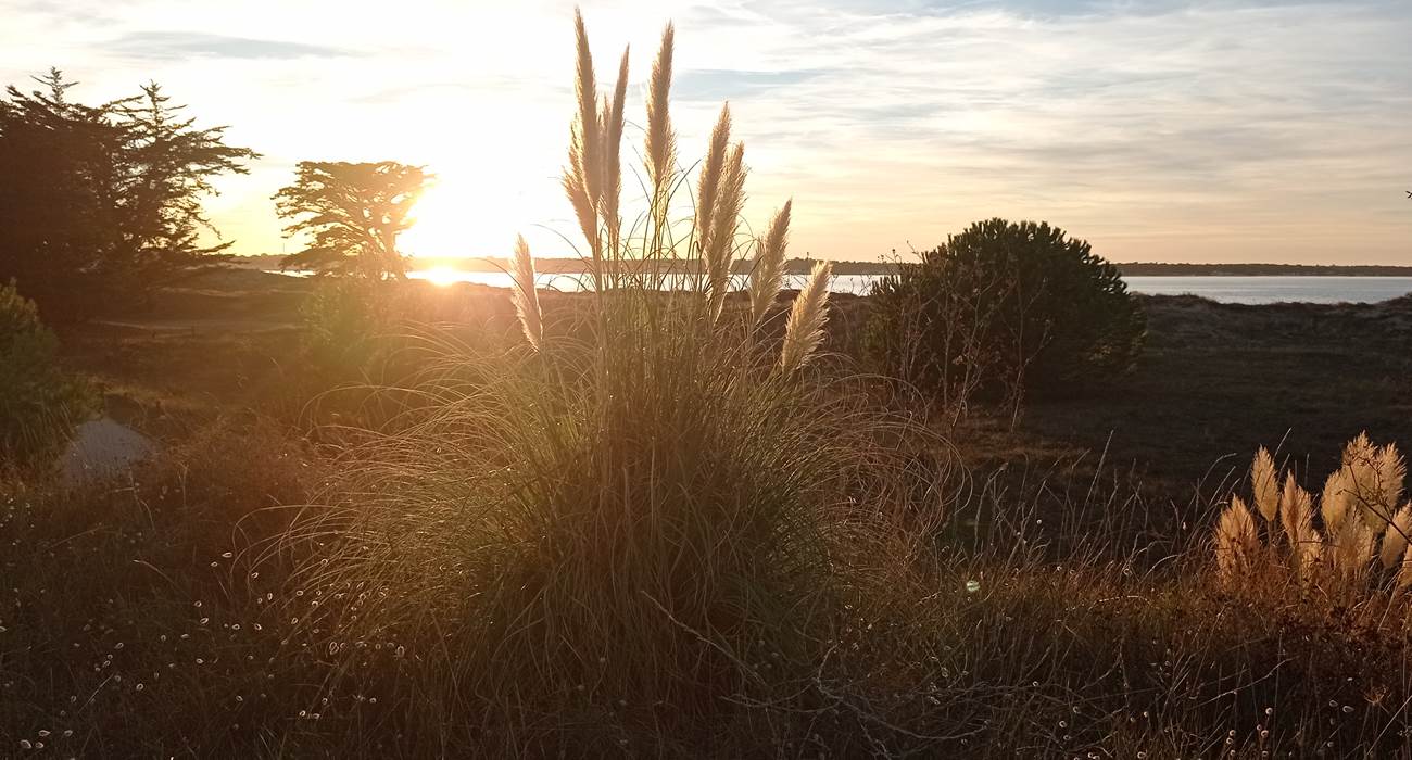 Coucher de soleil île de Ré