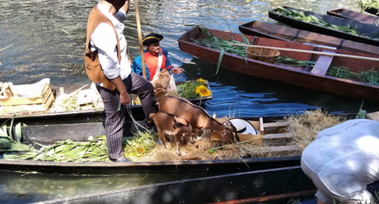 credit photo cecile Torres