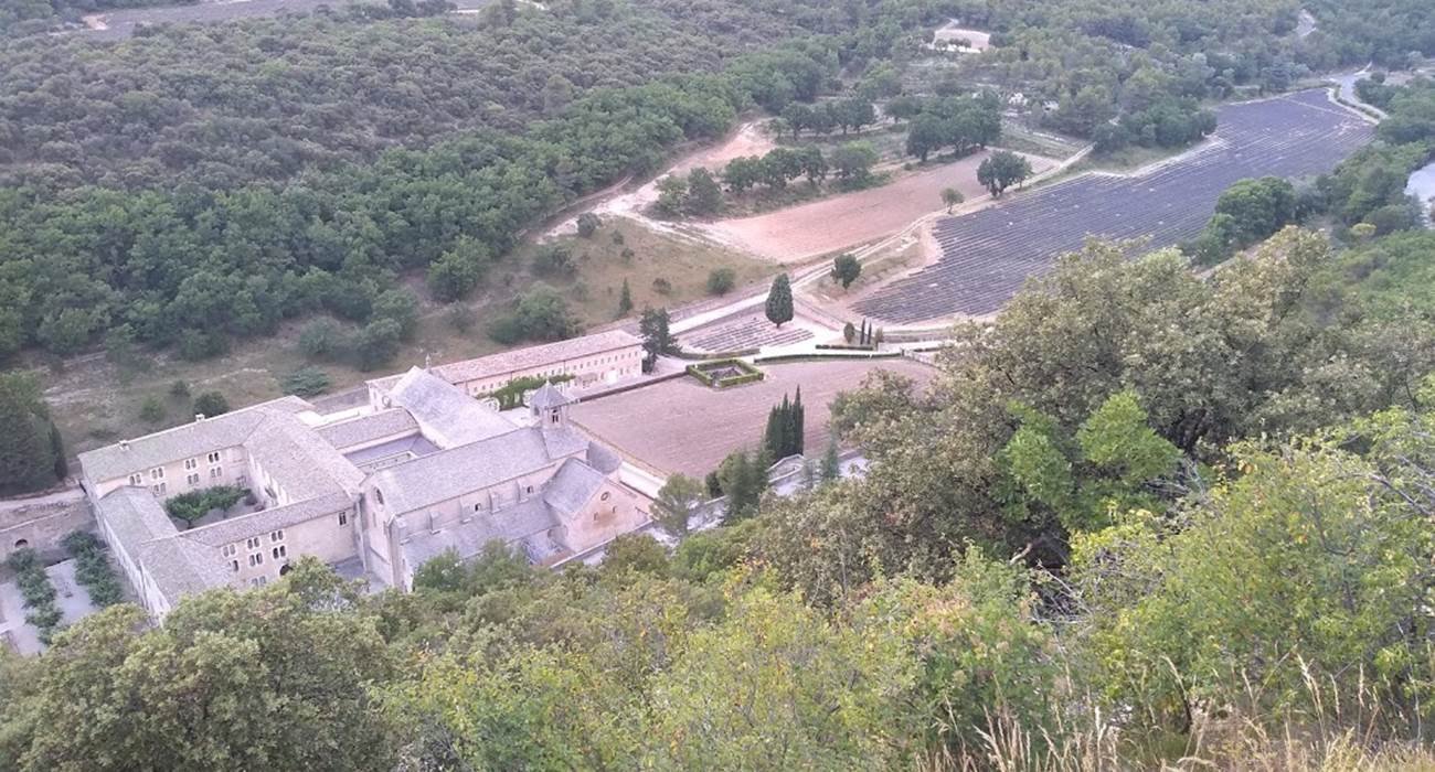 Abbaye de sénanque