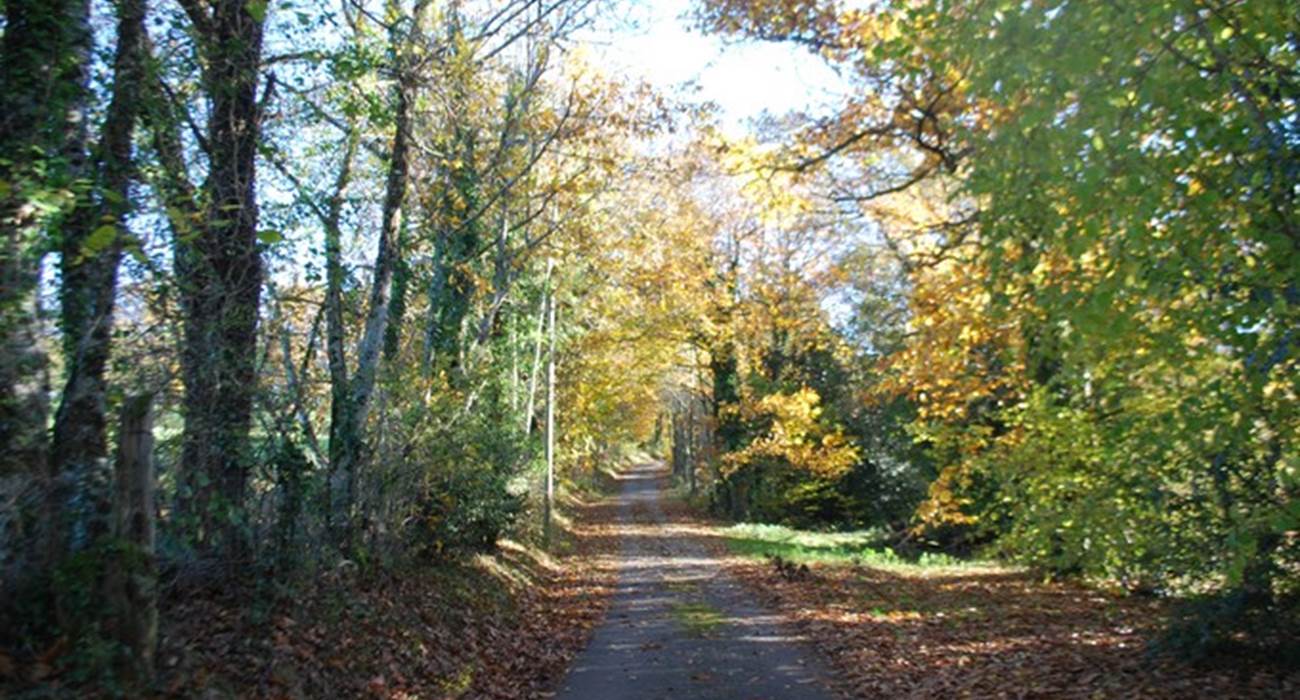 balade en novembre au départ du Ranch des Lacs Hotel à la campagne-page
