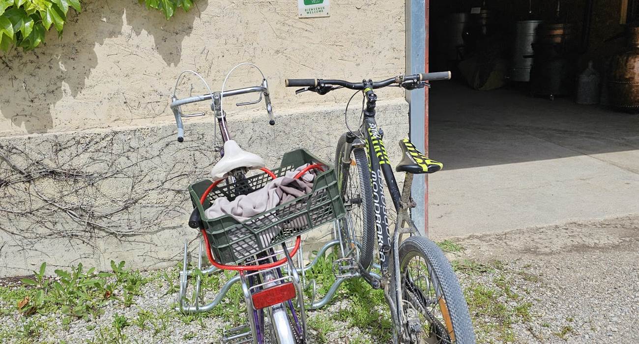 Sans titre-photo-page