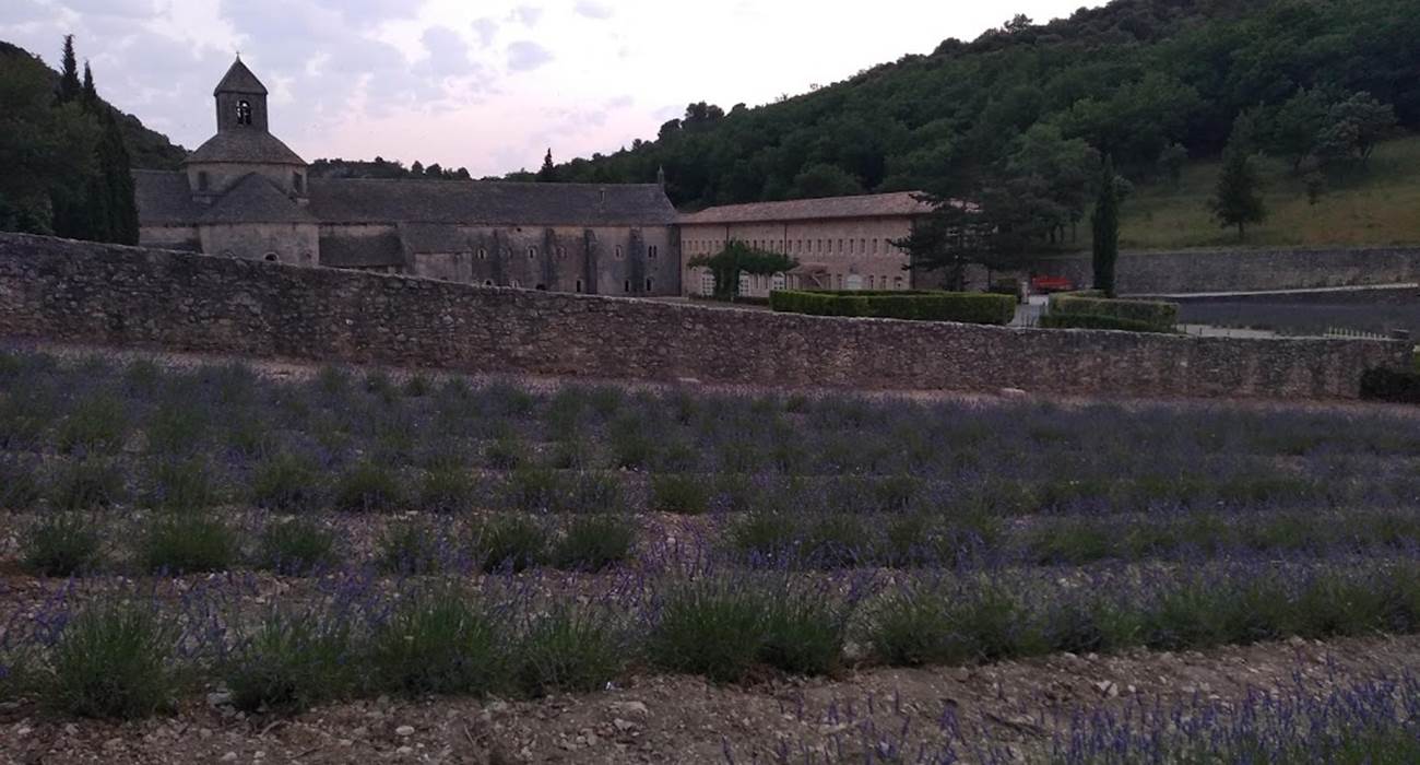 abbaye de sénanque
