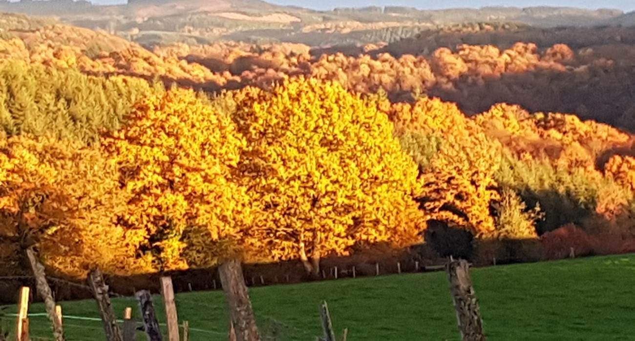 lumières d'automne couché de soleil Le Ranch des Lacs  hotel de charme-page