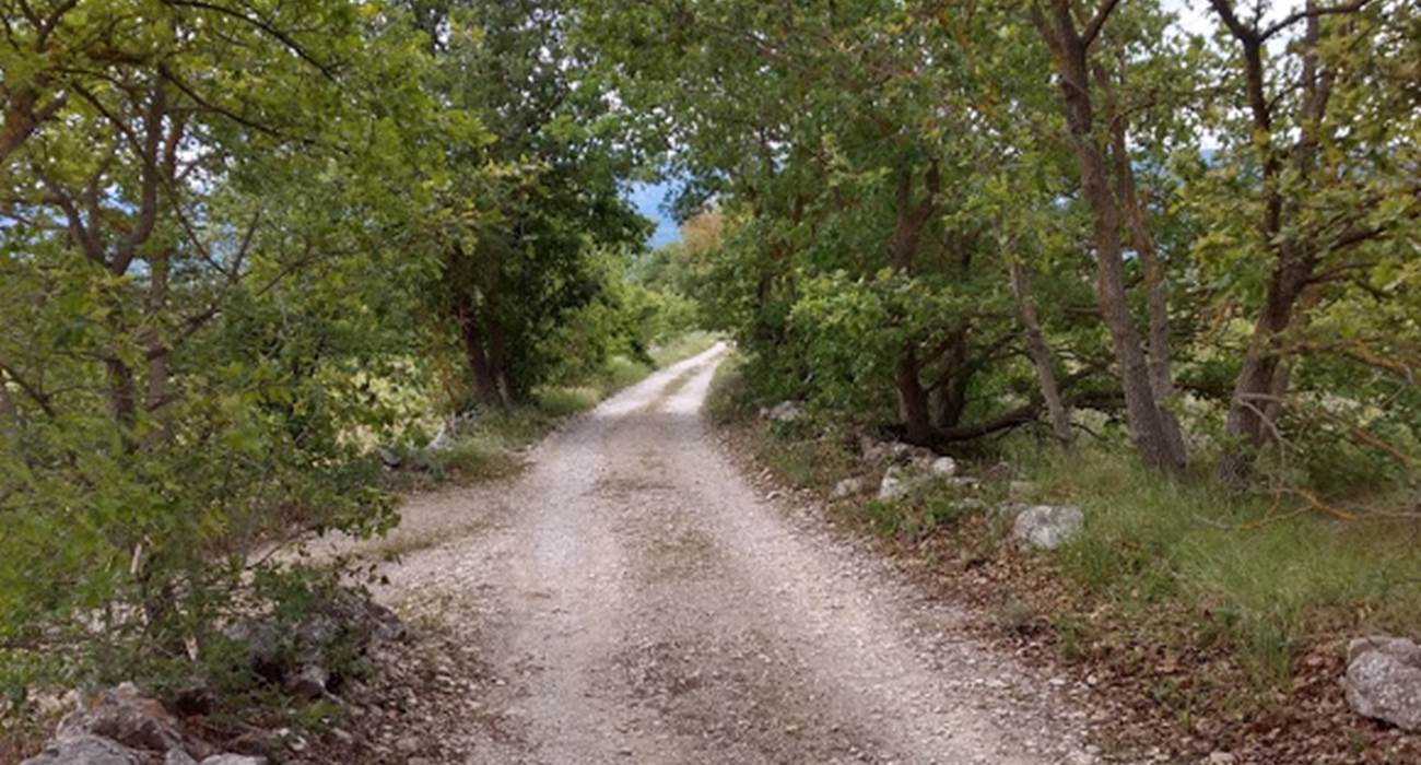 Cabrières d'avignon