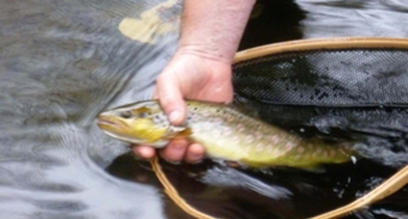ami pêcheur, le limousin, un pays pour vous pêcheur, hébergement pêche 87120-page
