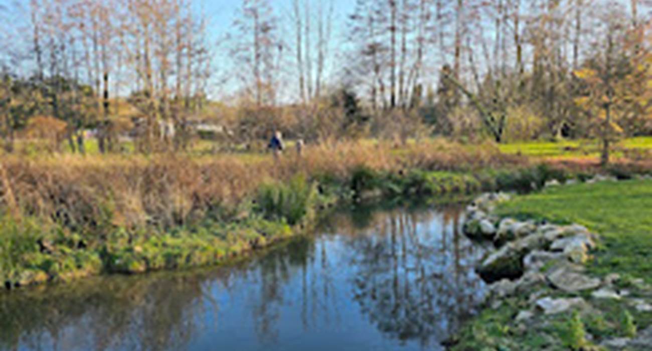Etang de pêche - Villette
