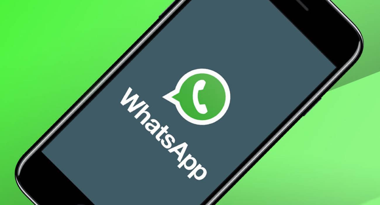 Contact whatsapp en ligne