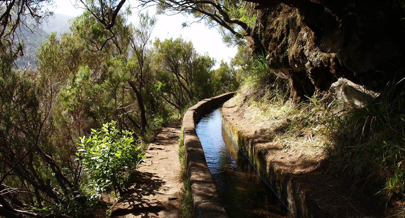 LEVADA-page