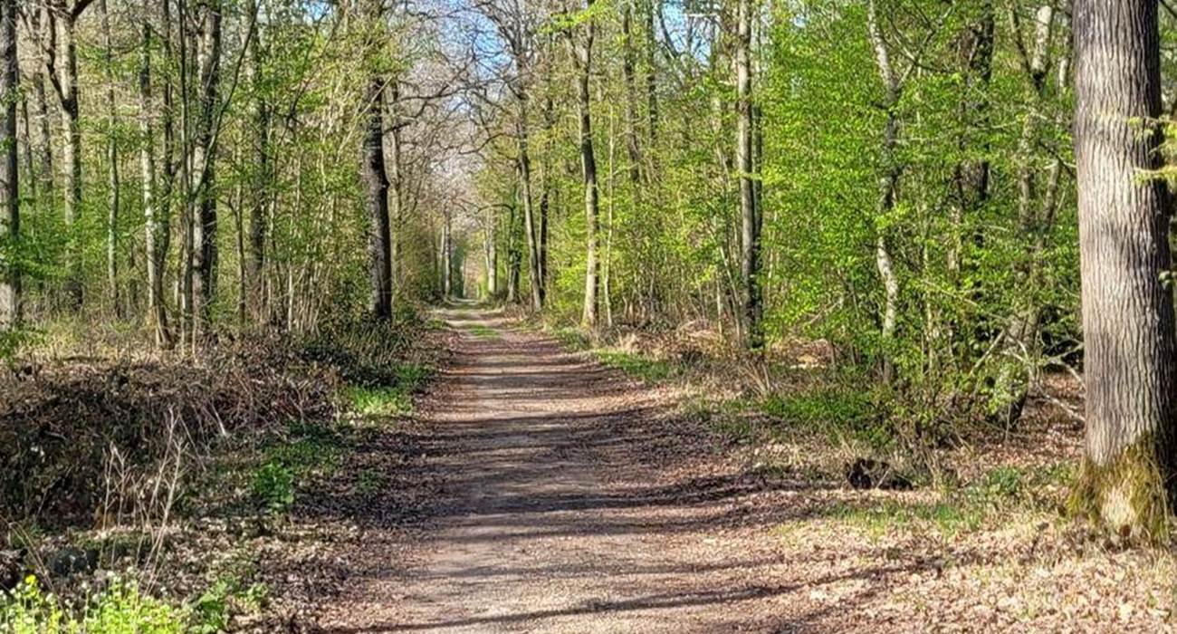 Chemin Randonnée