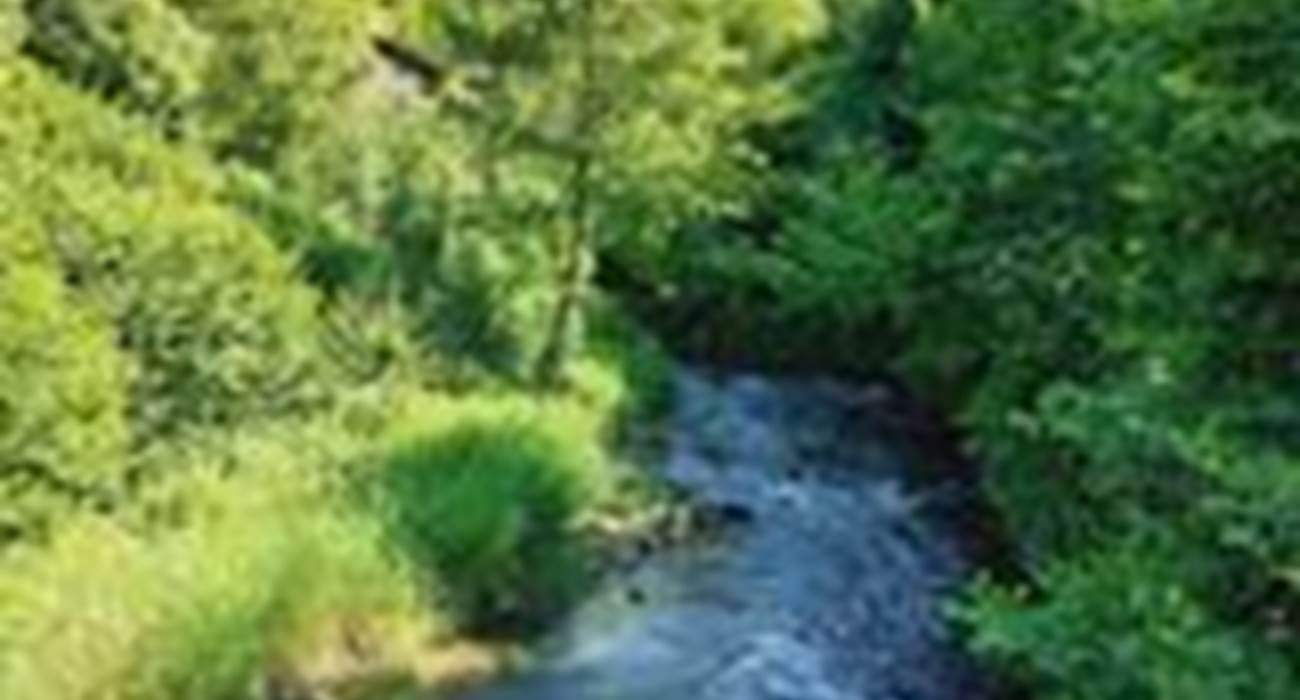 Vallée du Bocq-page