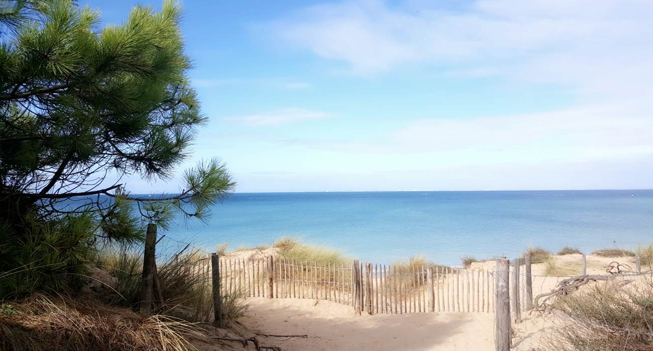 Forêt de La Coubre - La Palmyre