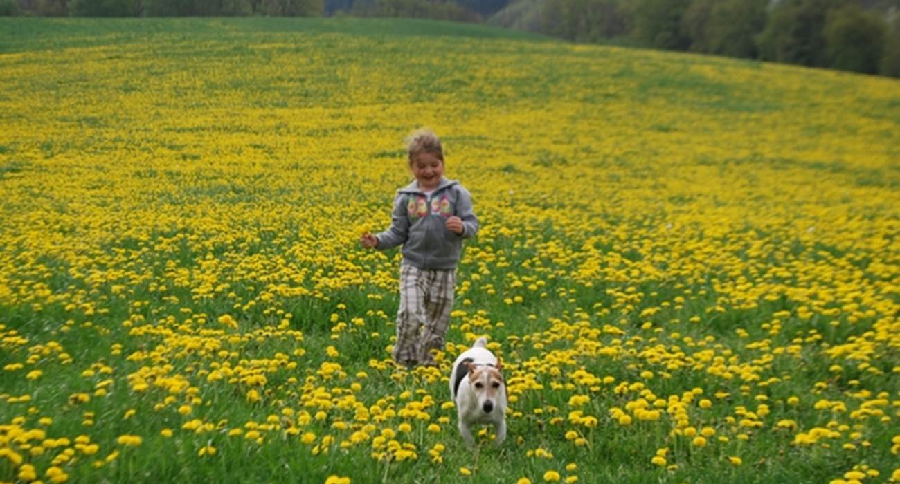 printemps, pissenlits, évasion, la Nature se réveille au Ranch des Lacs-page