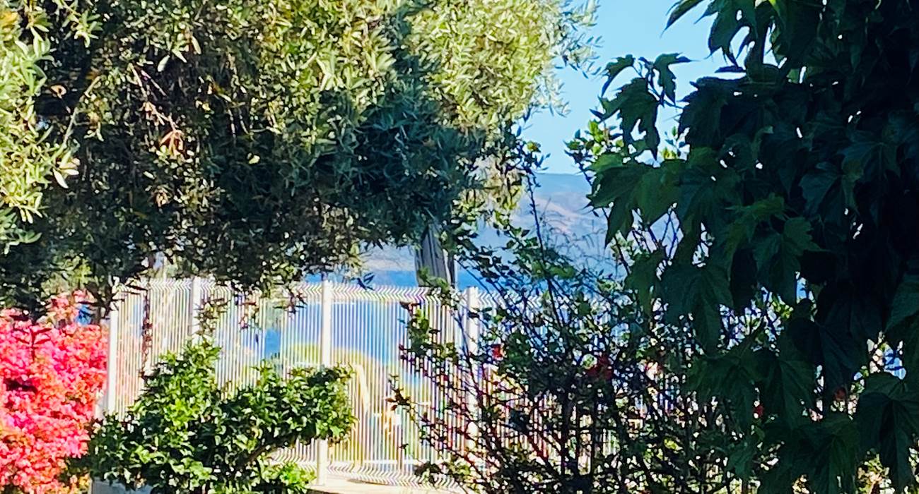 jardin corse