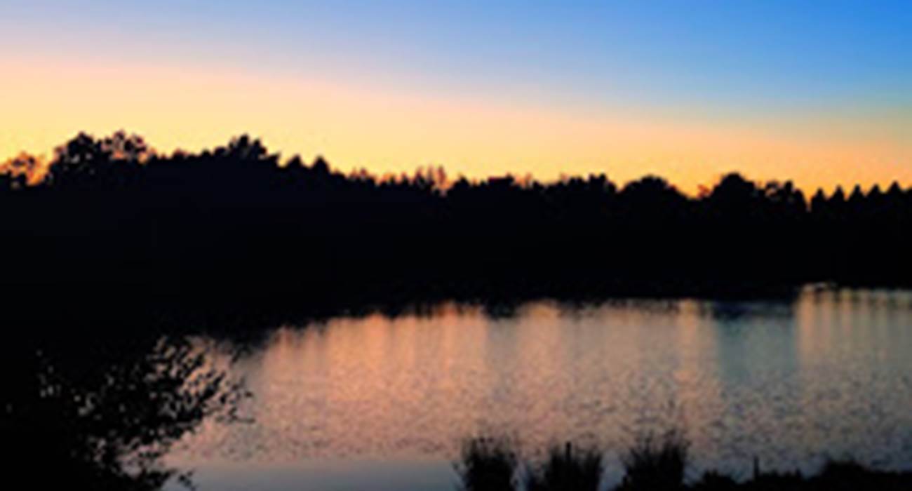 Etang des Vingtaines - Anet