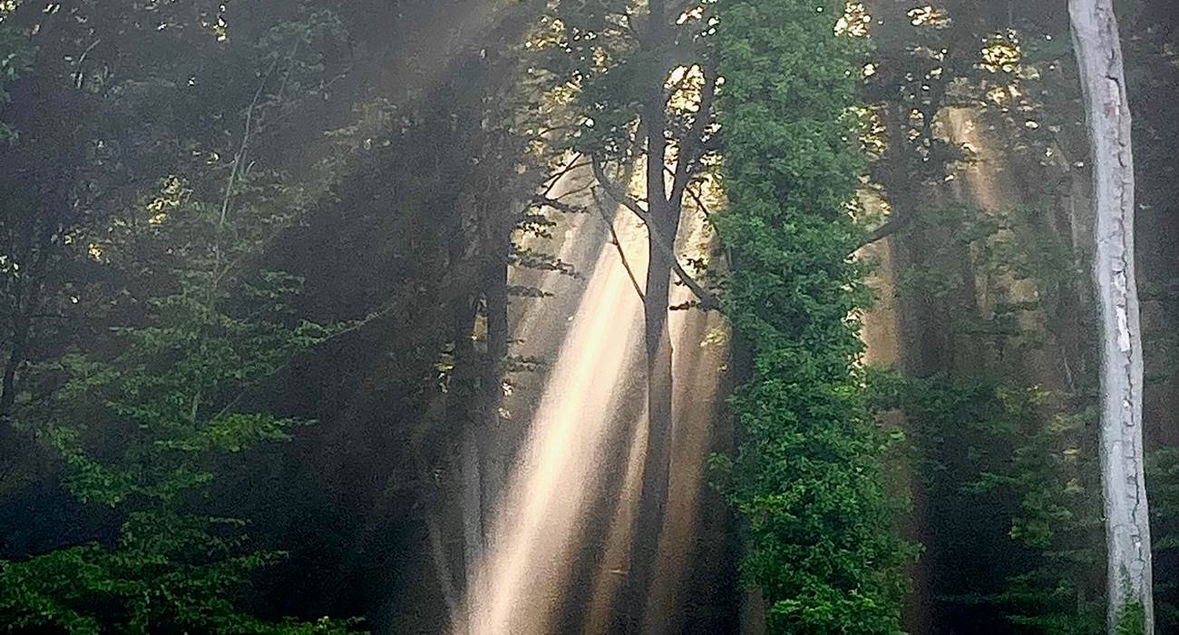 Dôme de Namur-page