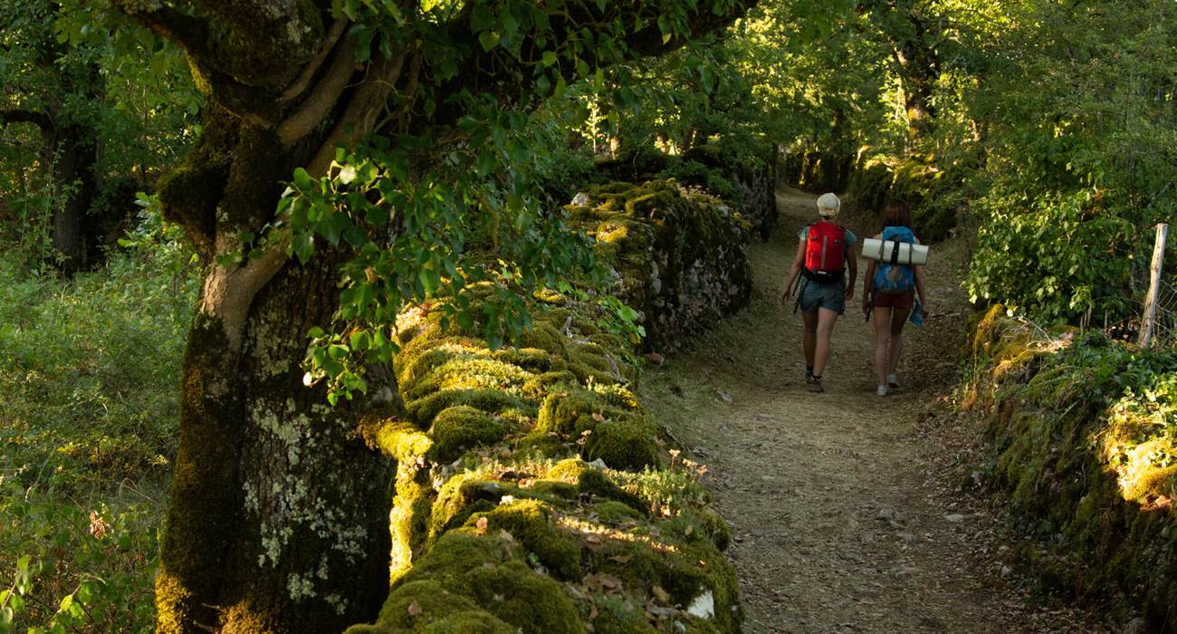 Randonnée sur les sentiers du PNR des Causses du Quercy