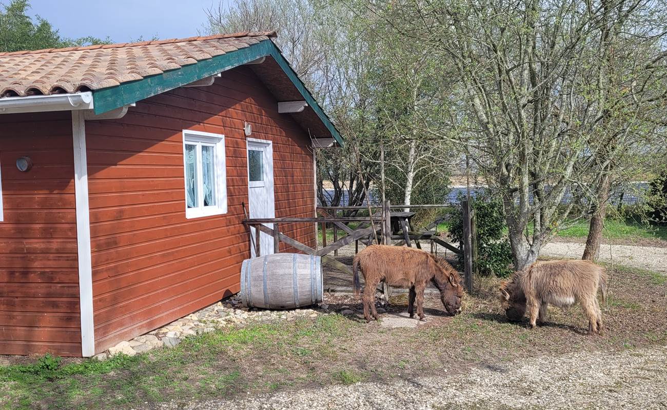 20230323_105629-photo-gallery
