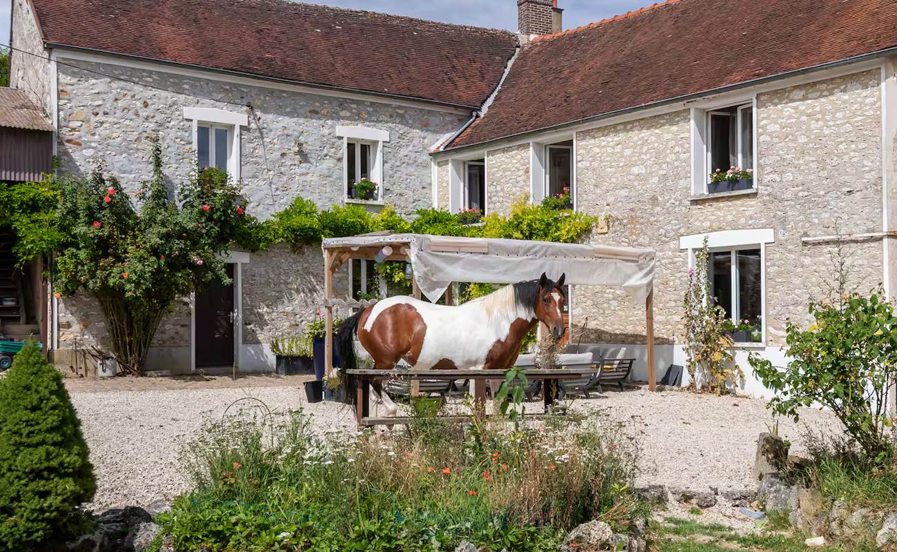 cheval-photo-gallery