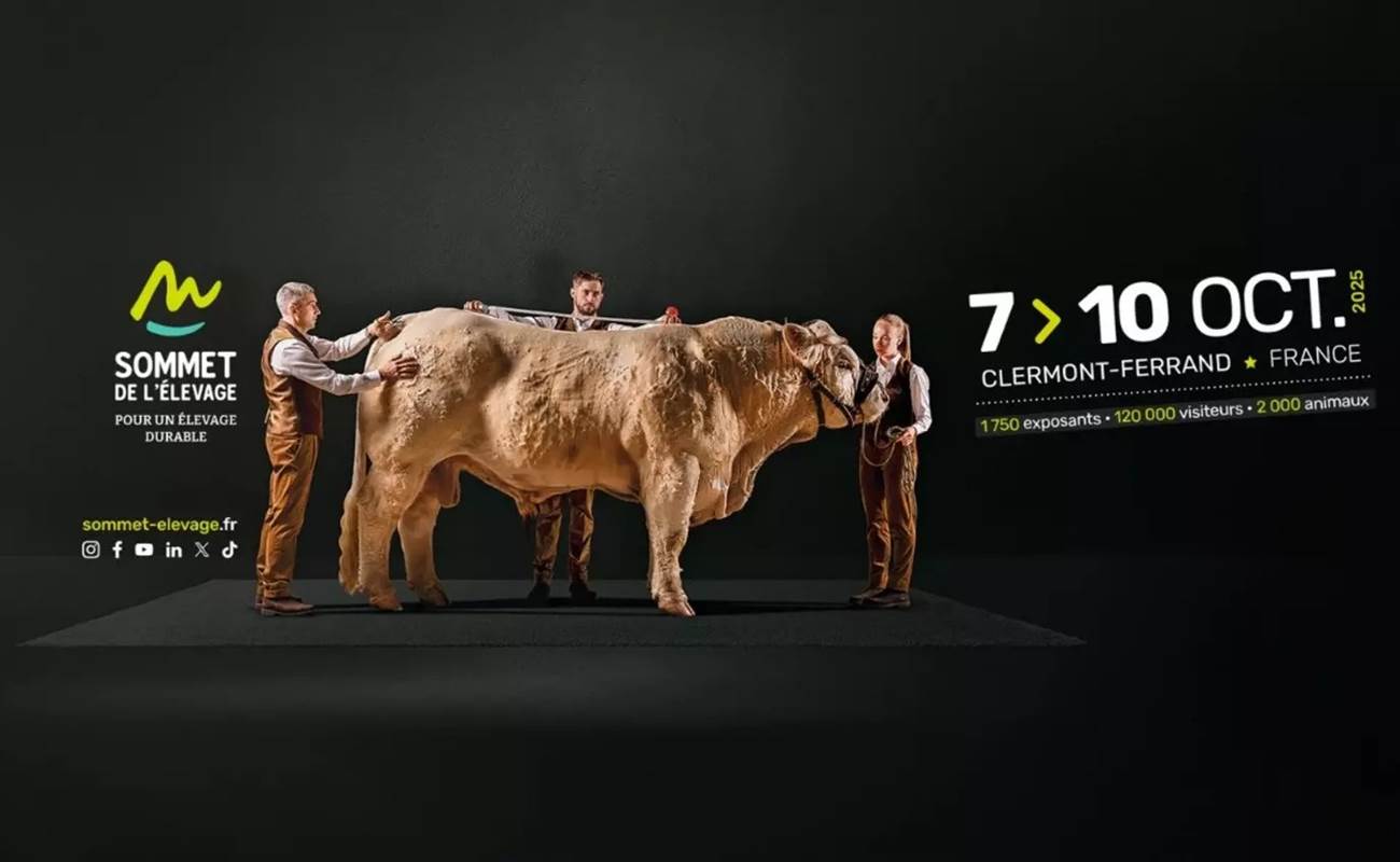 Sans titre-photo-page