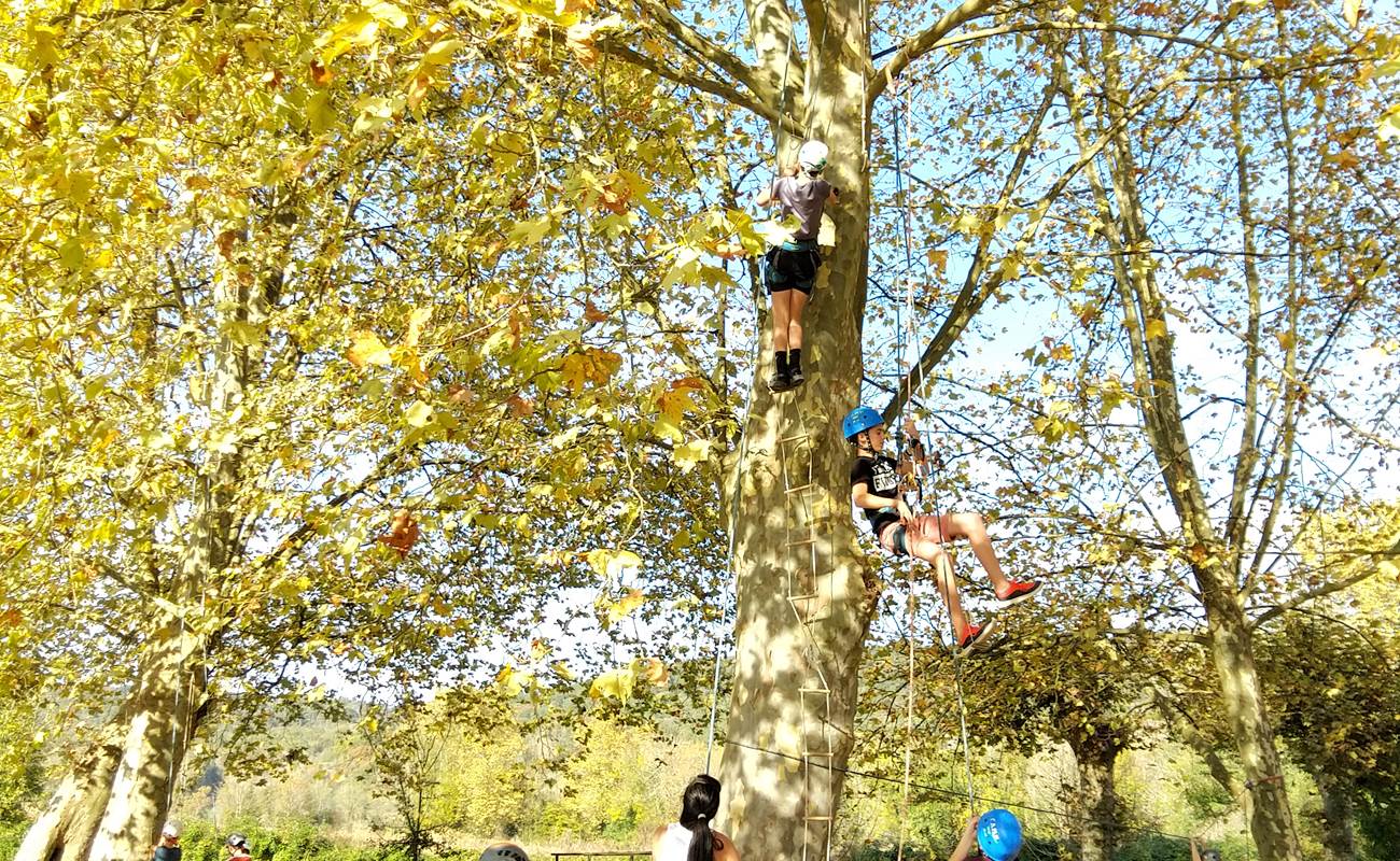Escalade dans les arbres Pau  Pyrénées Atlantiques-photo-gallery
