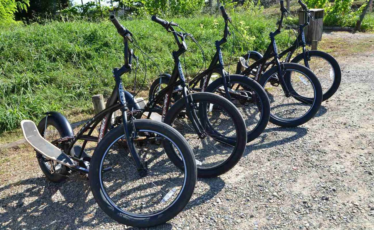 Vélos Steppers Pyrénées Atlantiques-photo-gallery