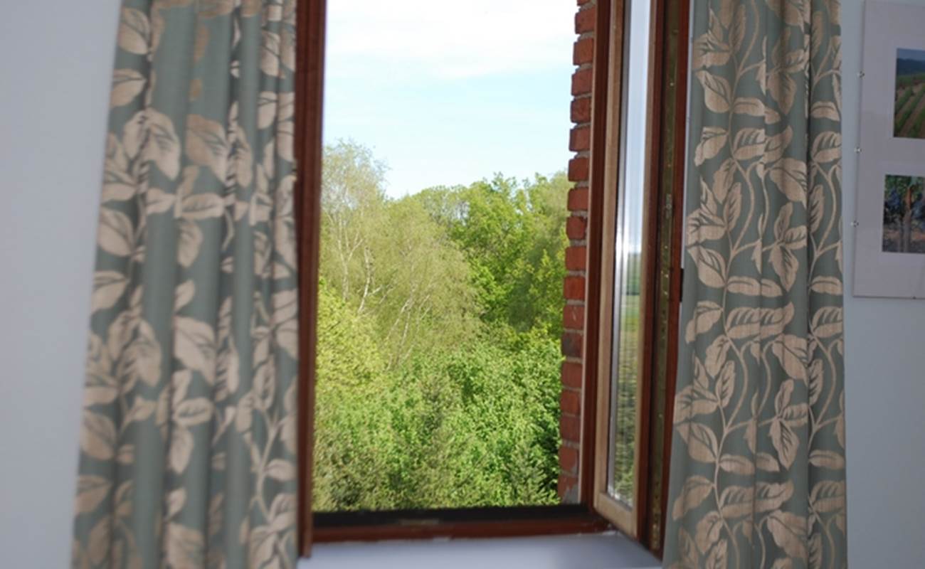 vue sur la nature Chambre Cabanon En Haute-Vienne Le Ranch des Lacs-photo-gallery