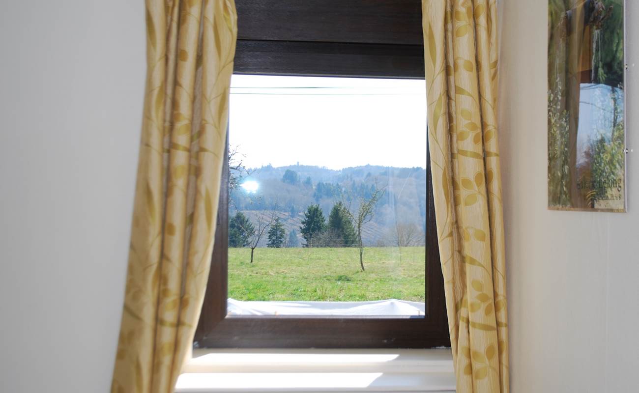 vue depuis la chambre Paul Rebeyrolle Le Ranch des Lacs-photo-gallery