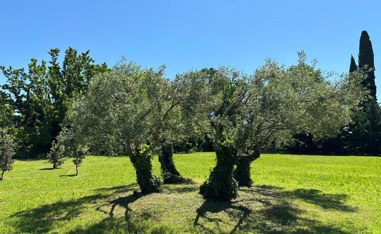 Maison d'hôtes en Provence-photo-gallery