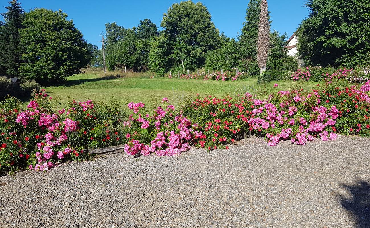 jardin fleuri Le Ranch des Lacs-photo-gallery