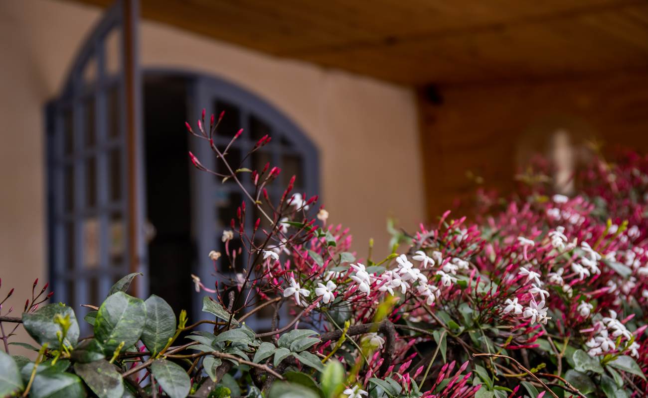 AUBERGE (11)-photo-gallery