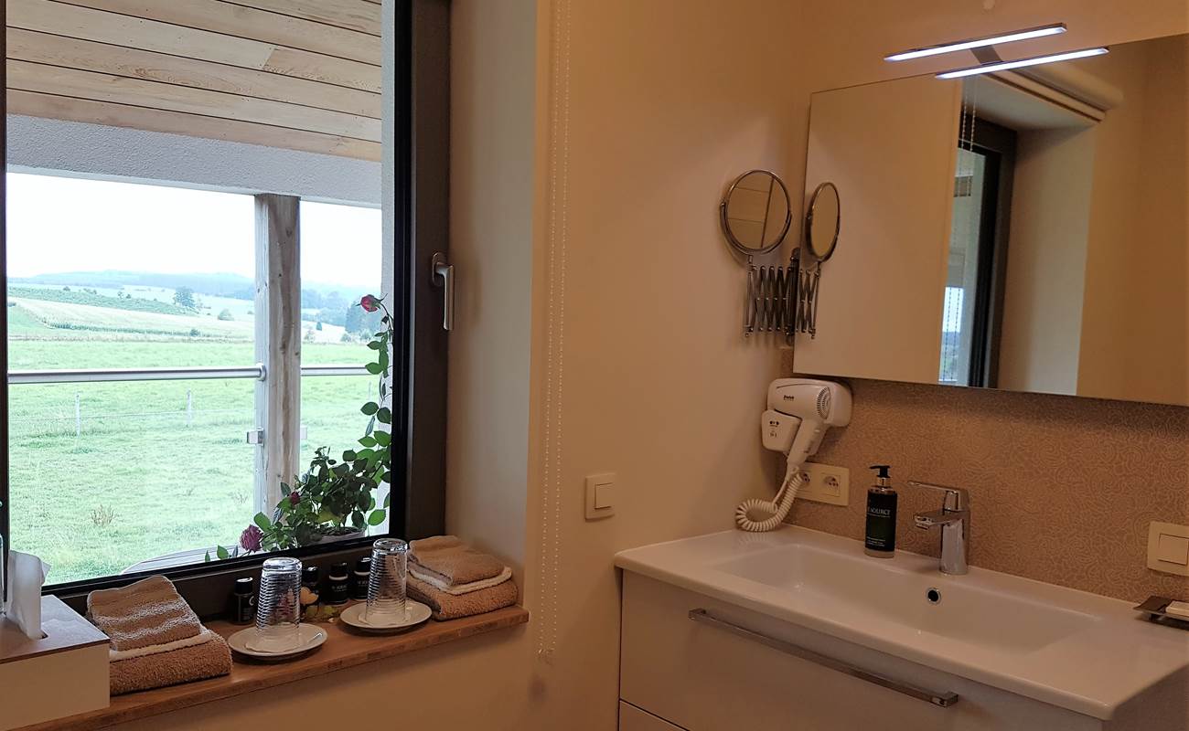 Salle d'eau privative de la chambre Zénith-photo-gallery