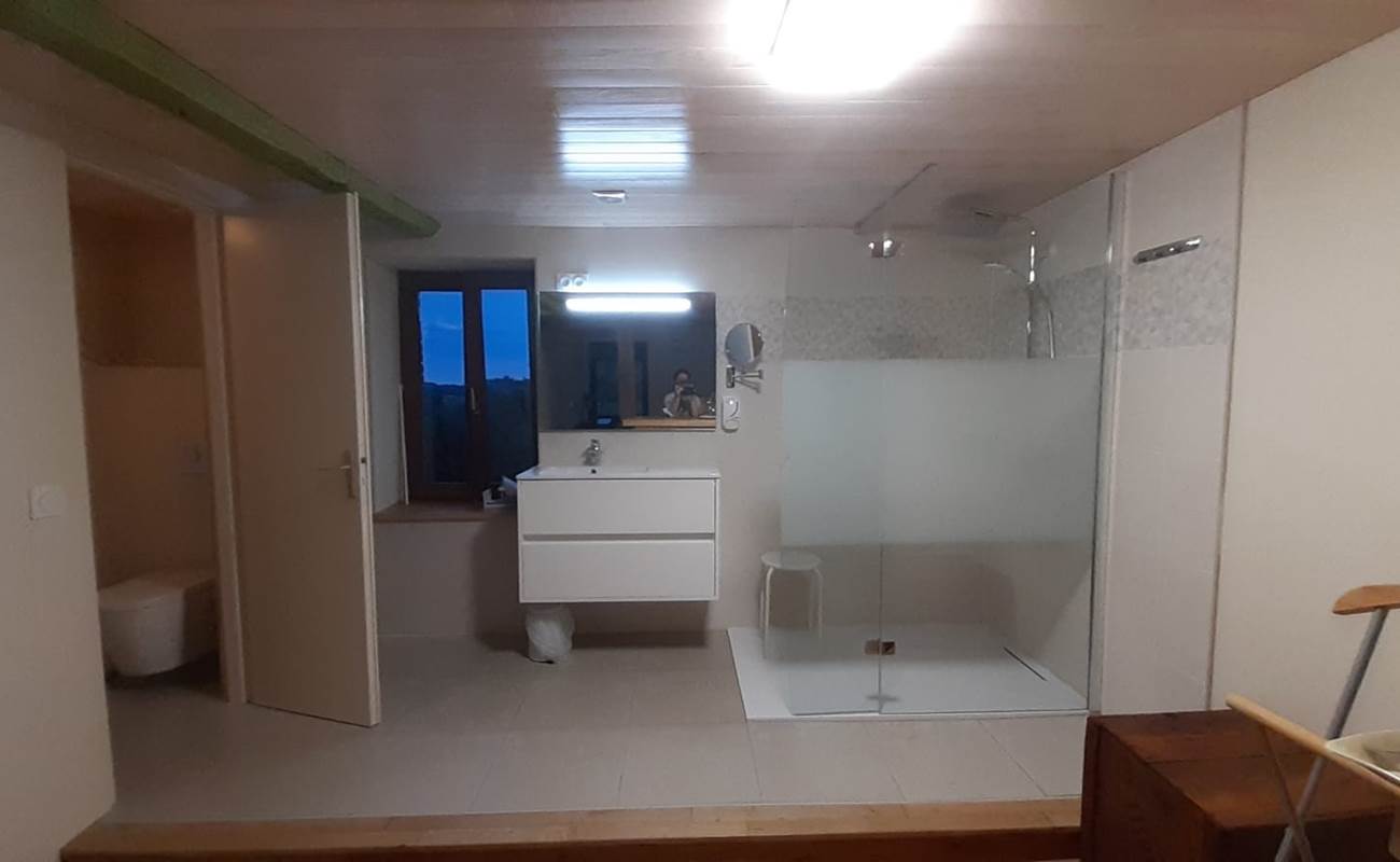 Chambre Paul rebeyrolle - espace optimisé - espace sanitaire ouvert sur la Chambre - rénovation juin 2021-photo-gallery
