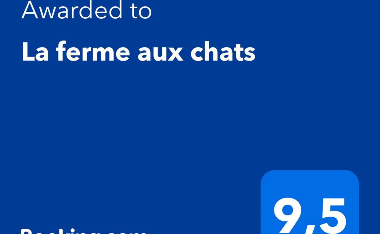 awards 2024 booking-photo-news