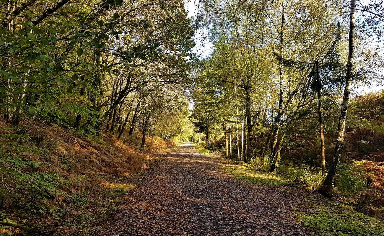 Balade sur le ravel à Morhet-photo-gallery