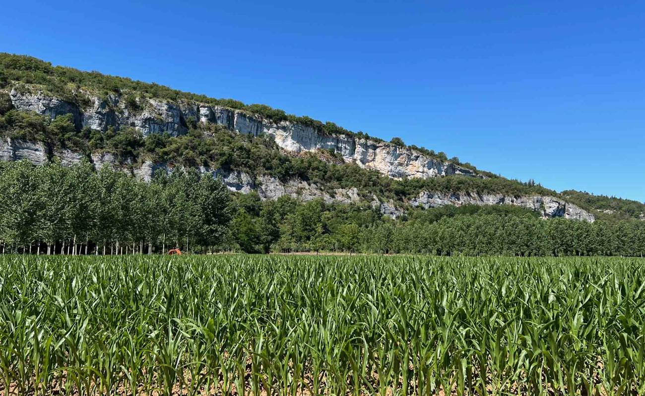 Environnement: champs et falaises-photo-gallery