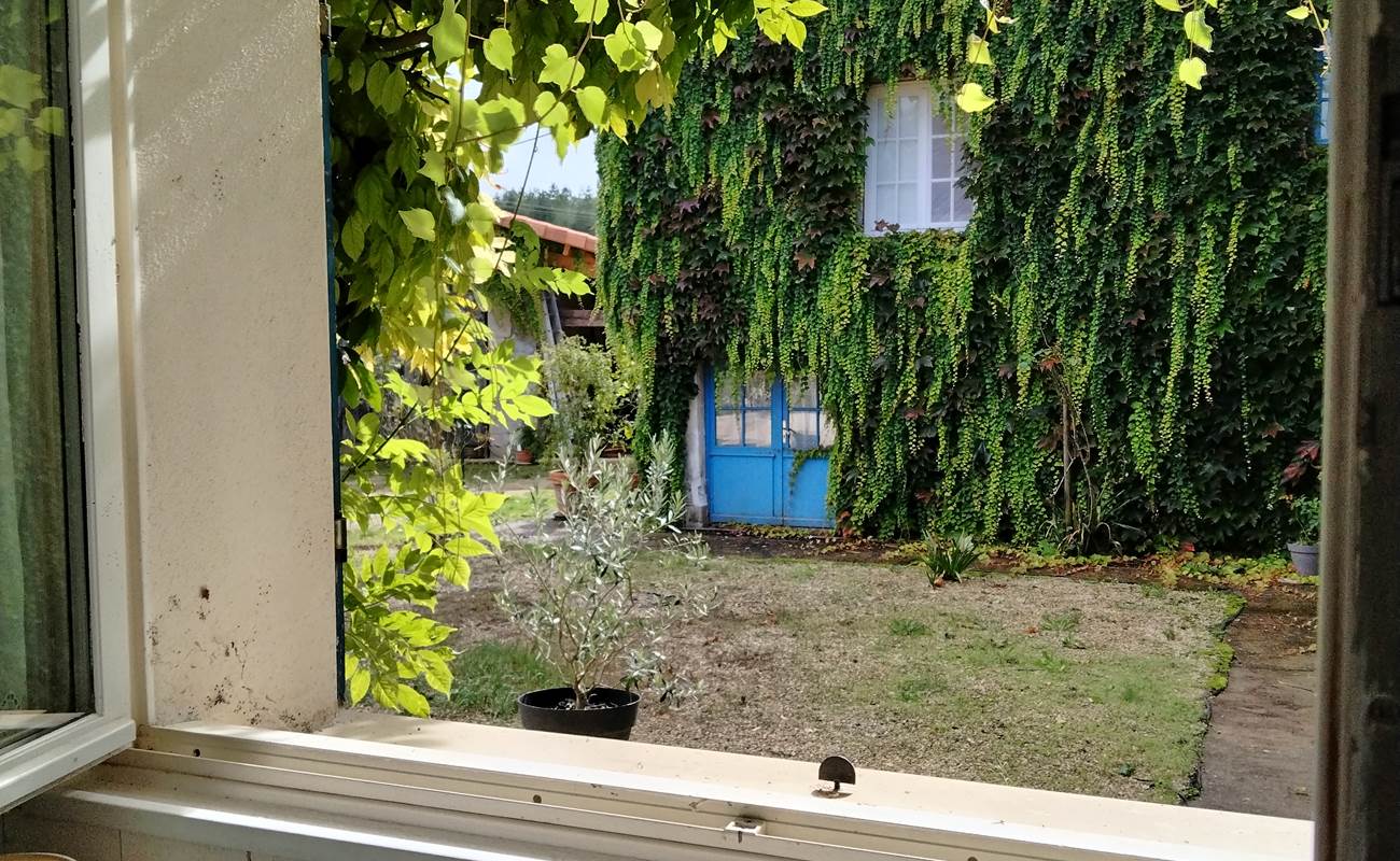 Une vue sur la cour-photo-gallery