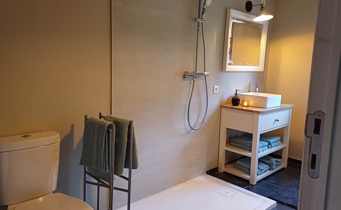 salle de bain n°2-photo-gallery