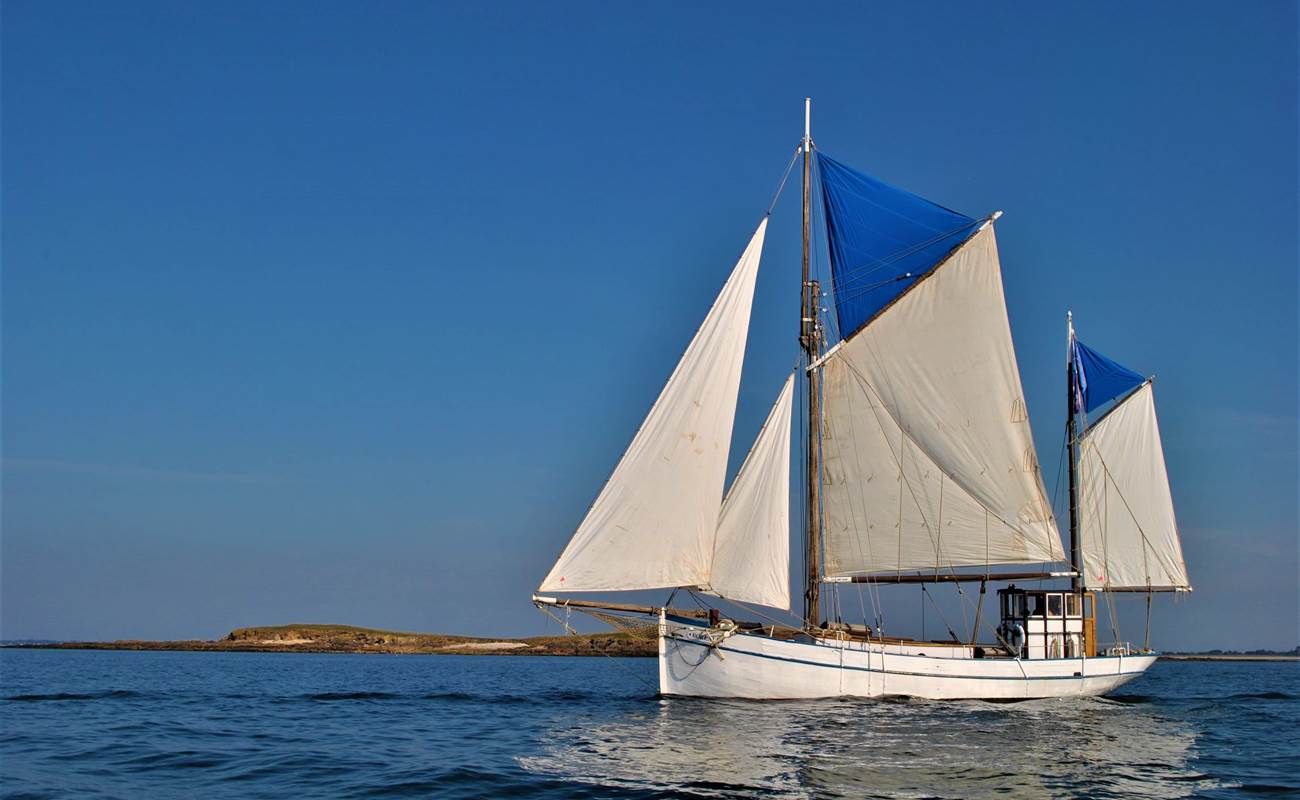Boreale, les voiles oceane-photo-gallery