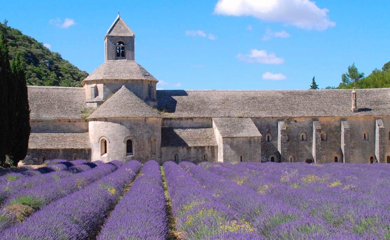 Abbaye Notre-Dame de Sénanque-photo-news