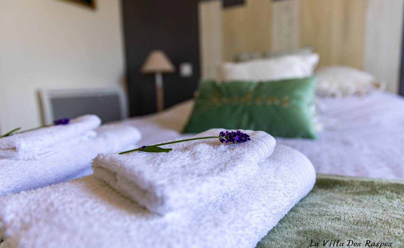 Chambre d'hôtes  de charme "Orzals" - La Villa des Raspes-photo-gallery