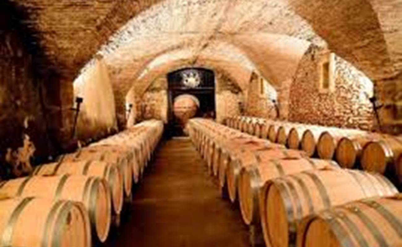 Une des nombreuses caves du vignoble-photo-news