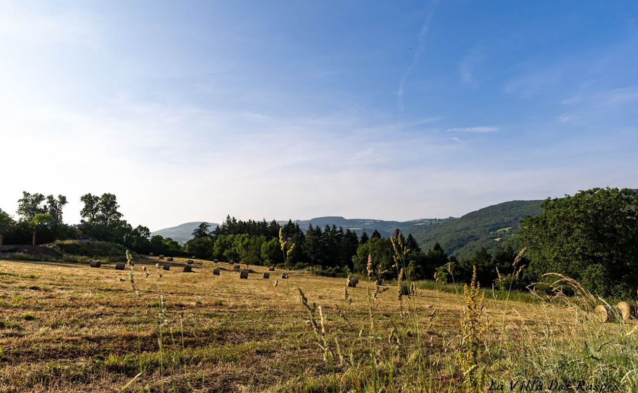 Ambiance champètre-photo-gallery