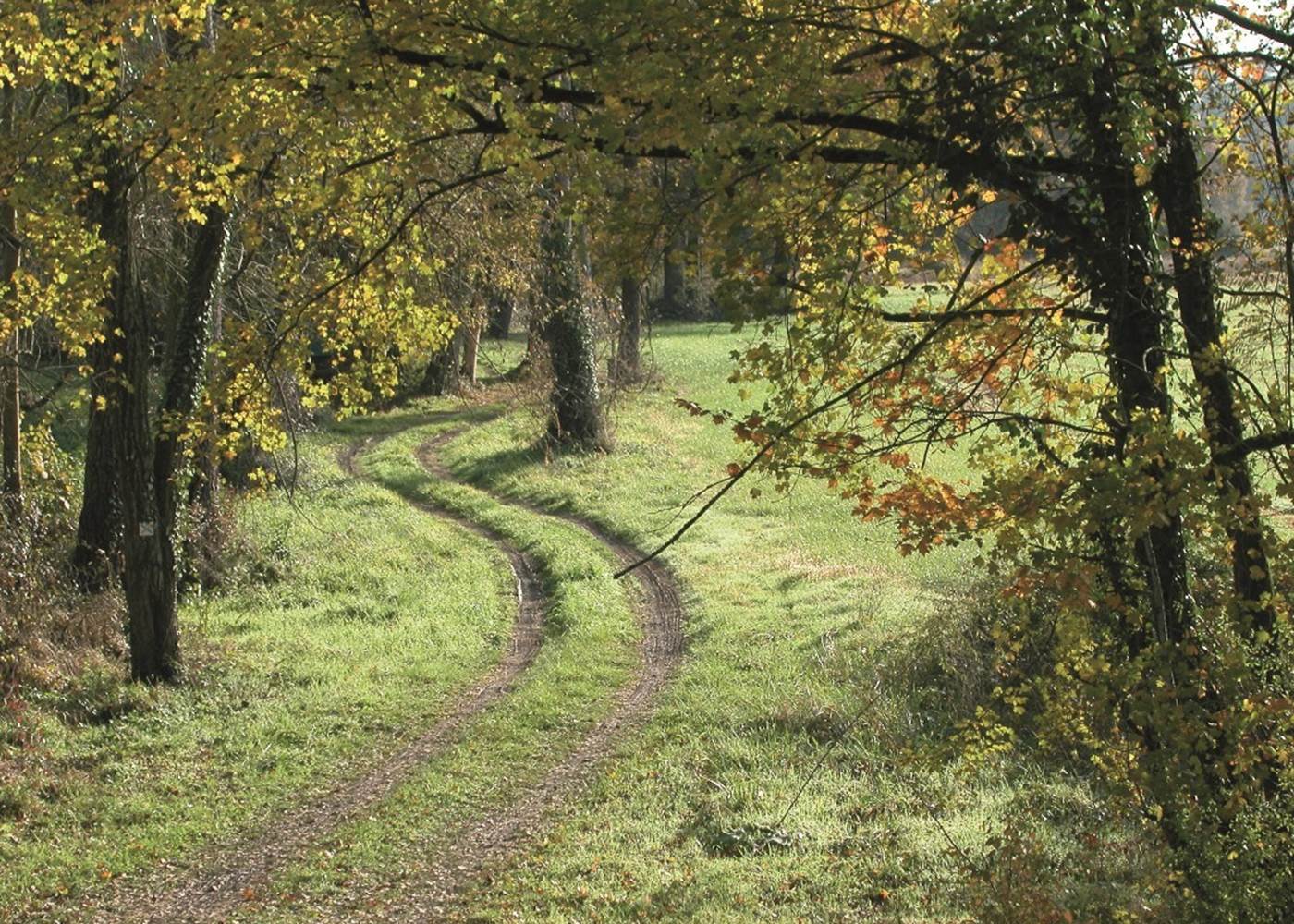 Voie verte de Chalosse