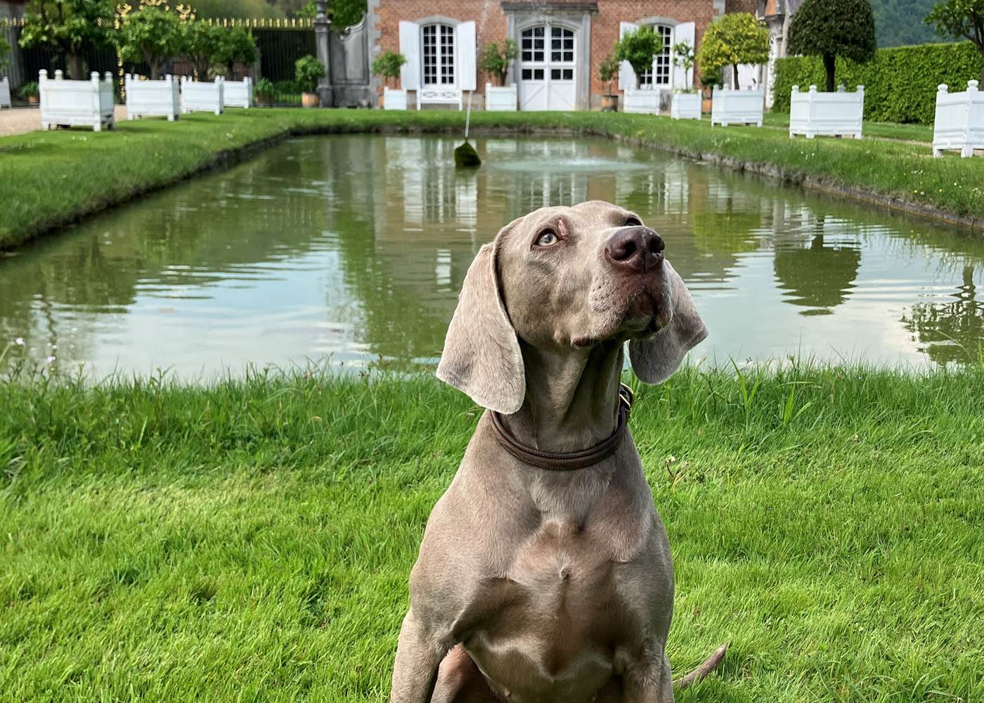 Plume au Château de Freÿr